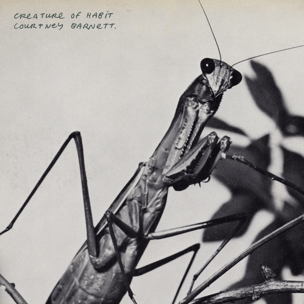 Courtney Barnett 'Creature Of Habit' album artwork