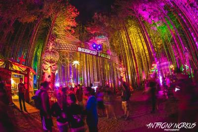 Electric Forest postpones to August amid evolving COVID-19 considerations