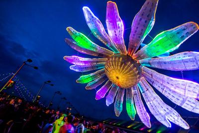 Flower power: Electric Daisy Carnival partners with RNBW World cannabis for ‘Official Flower of EDC’