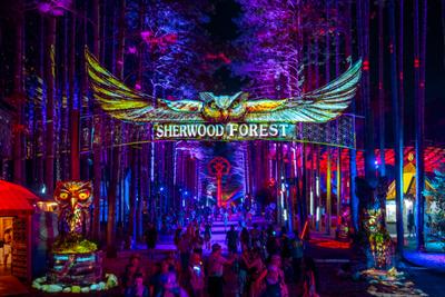 Beyond the Music: Experiences You Can’t Miss at Electric Forest 2026